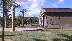A covered outdoor area with a pergola, a large tree, and a building with a brown roof. - Adansonia Hotel (Francistown)