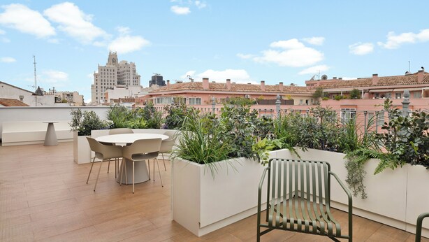 Une terrasse sur le toit, dotée d’une table et de chaises, entourée de jardinières verdoyantes, et offrant une vue sur le paysage urbain avec ses bâtiments.