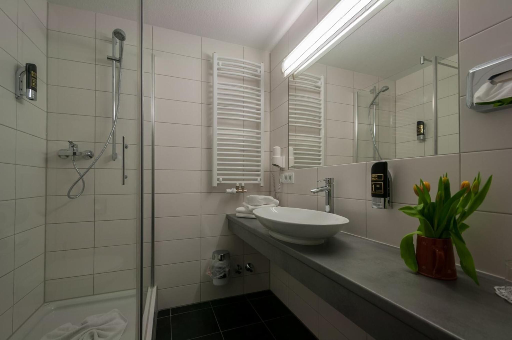 free toiletries, hair dryer, towels