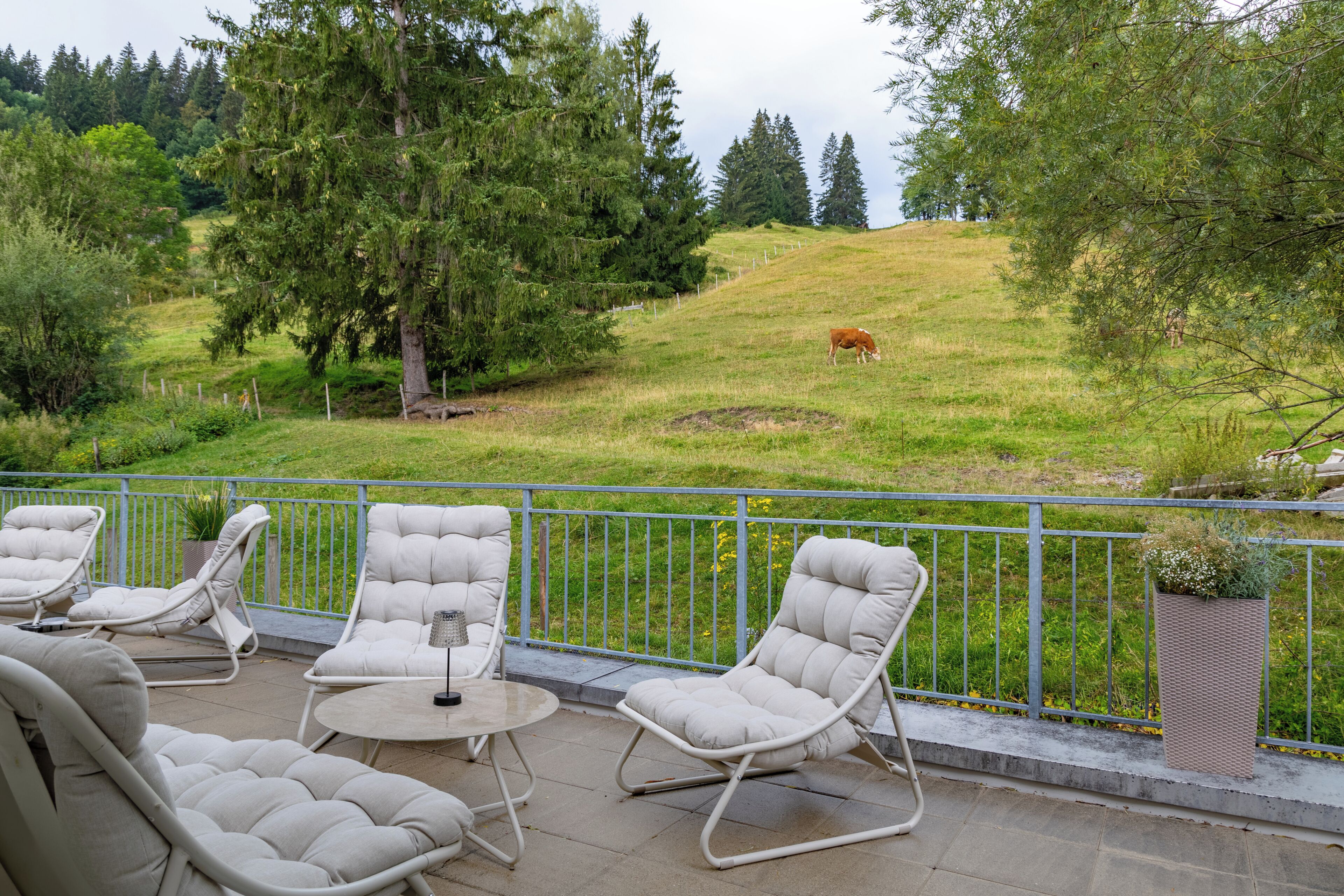 A terrace with outdoor seating and a view of a grassy hill with a cow.