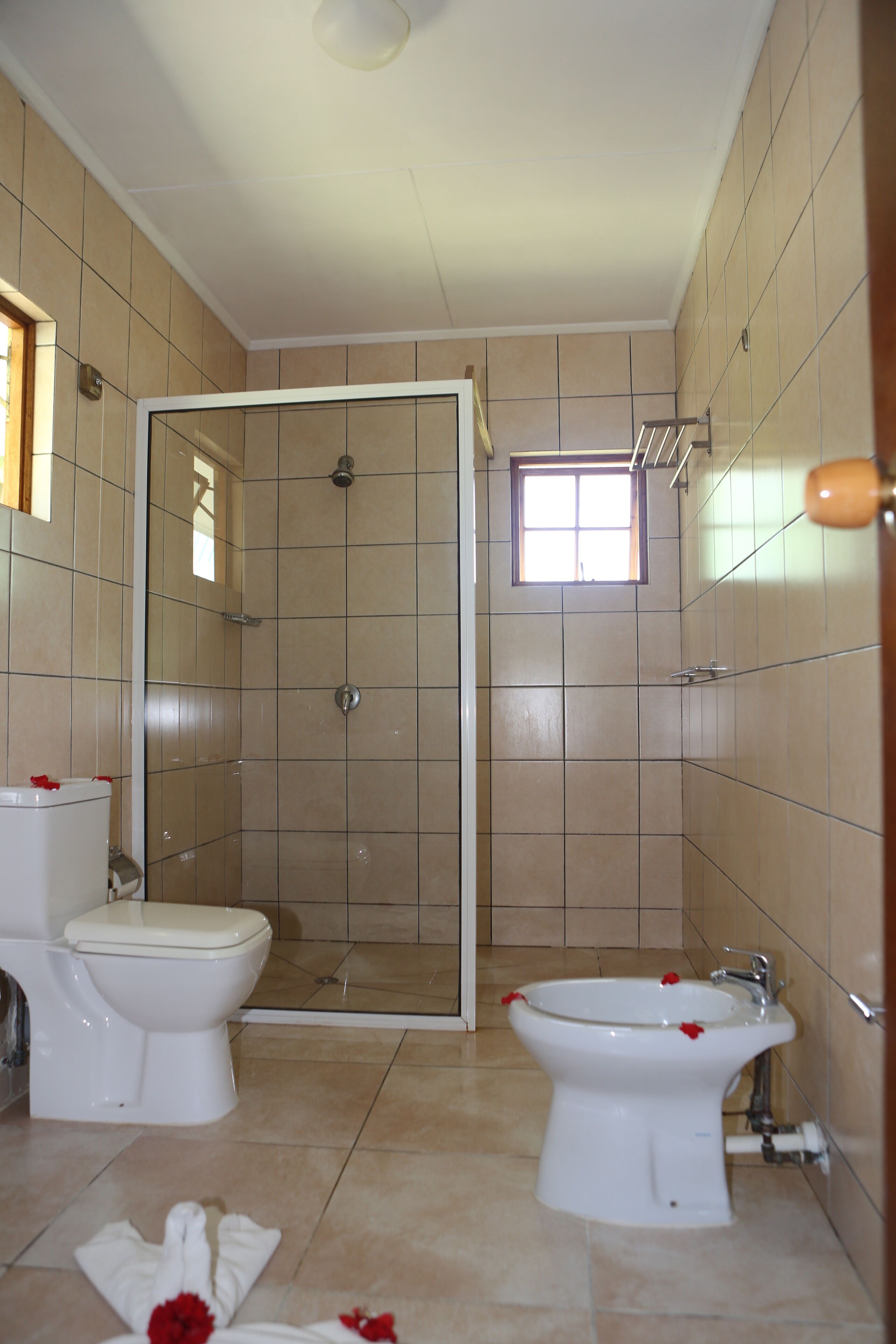 A bathroom with a shower, toilet, and bidet.