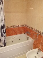 Separate tub and shower, jetted tub, bidet, towels