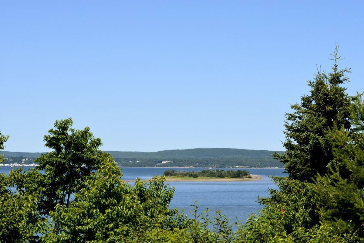 A coastal landscape with a clear view of the water, trees, and distant hills.