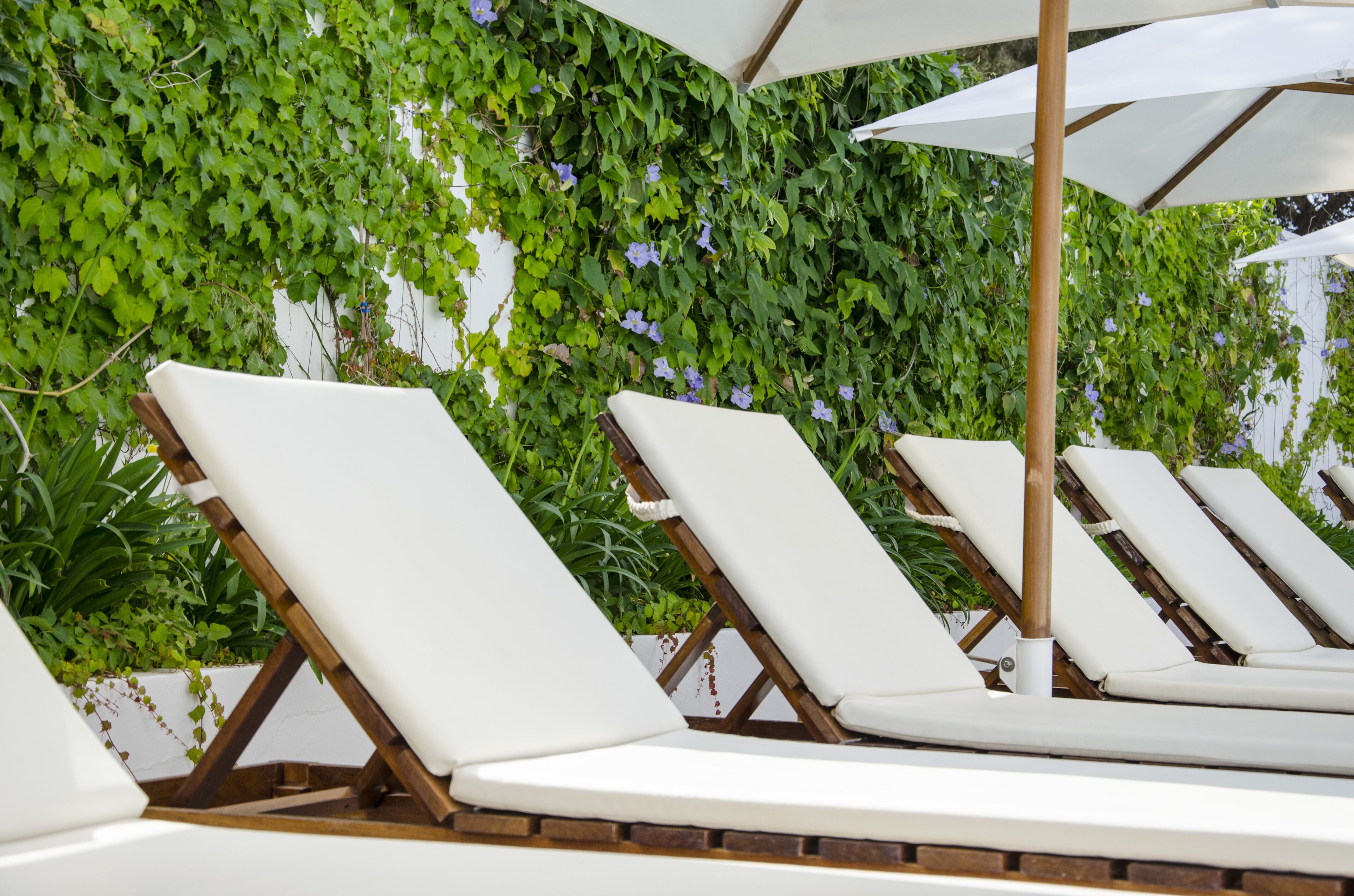 Une rangée de chaises longues blanches, dotées d’une structure en bois et de coussins blancs, est disposée de manière linéaire, avec un parasol blanc placé au-dessus.