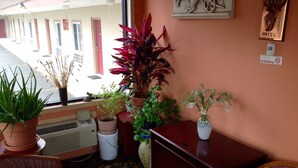 A corner of a room with a window, a desk, a cabinet, and various potted plants. - Sunset Motel (Egg Harbor Township)