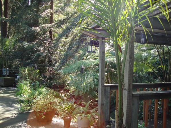 Property grounds - Daisy's Guest House (Sebastopol)