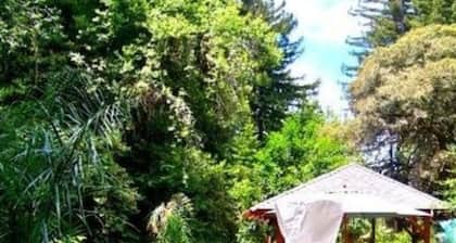 Daisy's Guest House