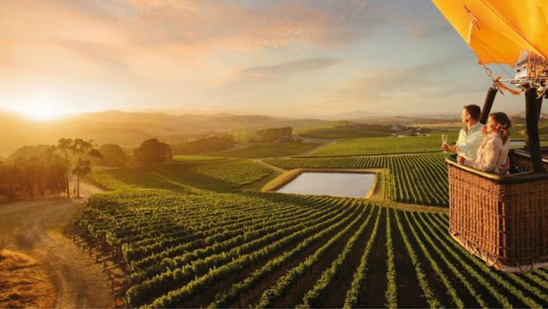 A vineyard with rows of grapevines and a couple sitting on a wicker chair overlooking the fields. - Magnolia cottage Healesville (Healesville)