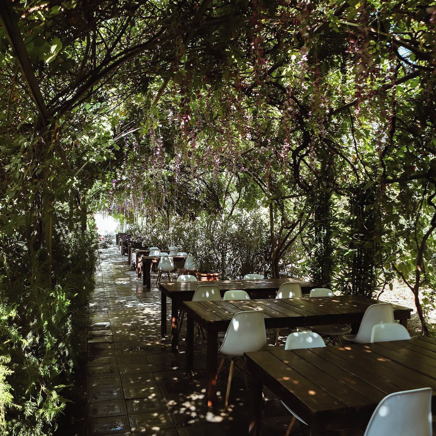An outdoor dining area with tables and chairs under a canopy of trees.