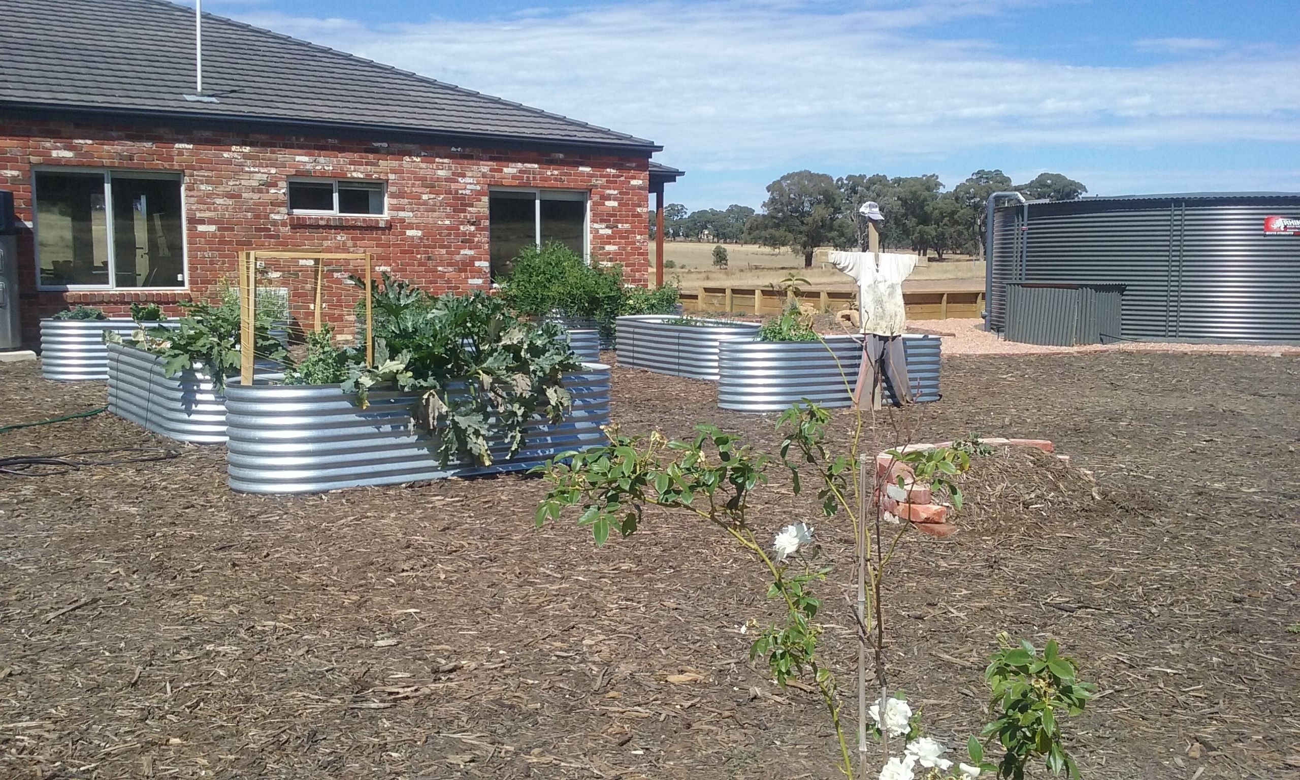 A brick building with a metal roof, surrounded by raised garden beds and a field in the background.