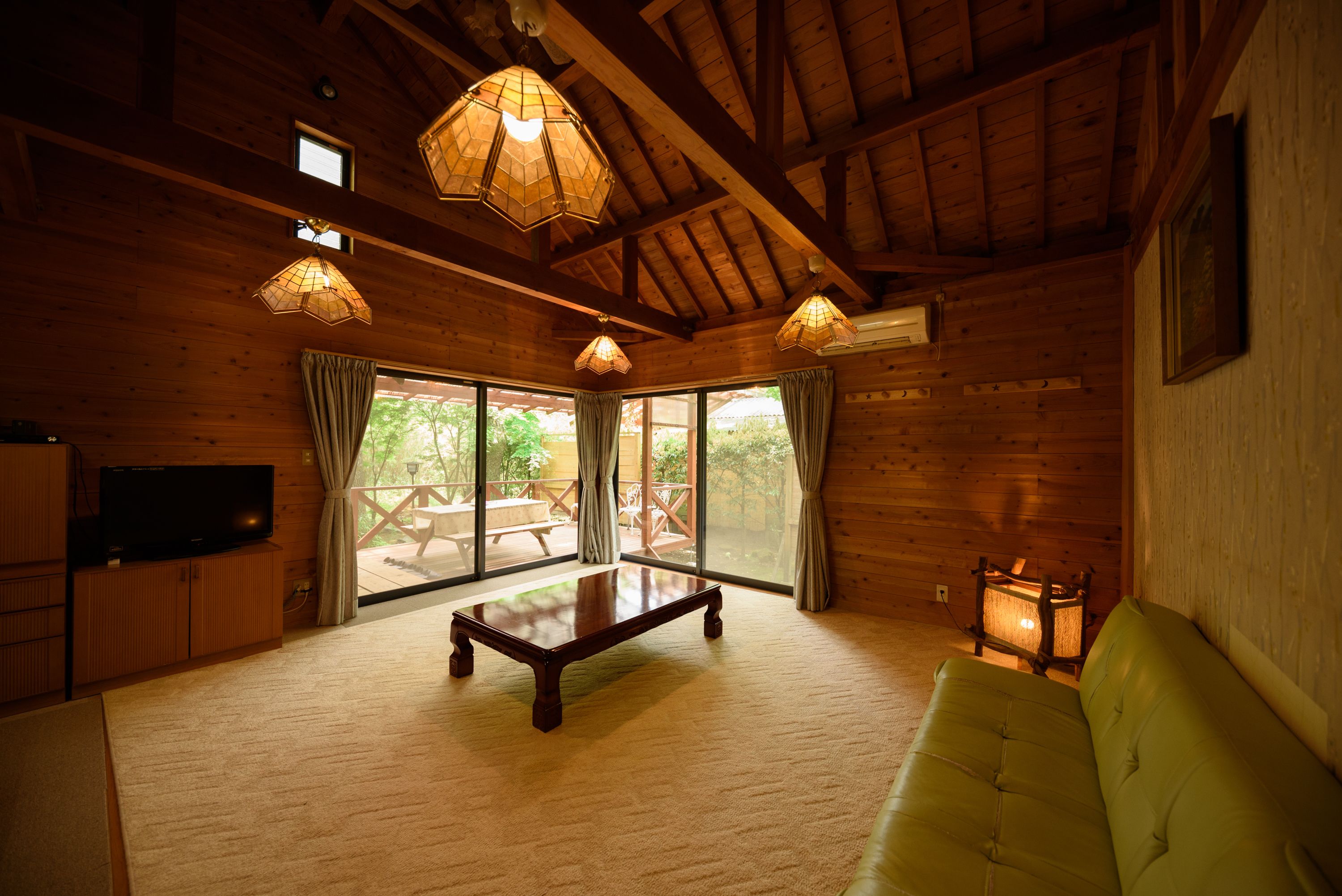 Televisión de pantalla plana, reproductor de DVD