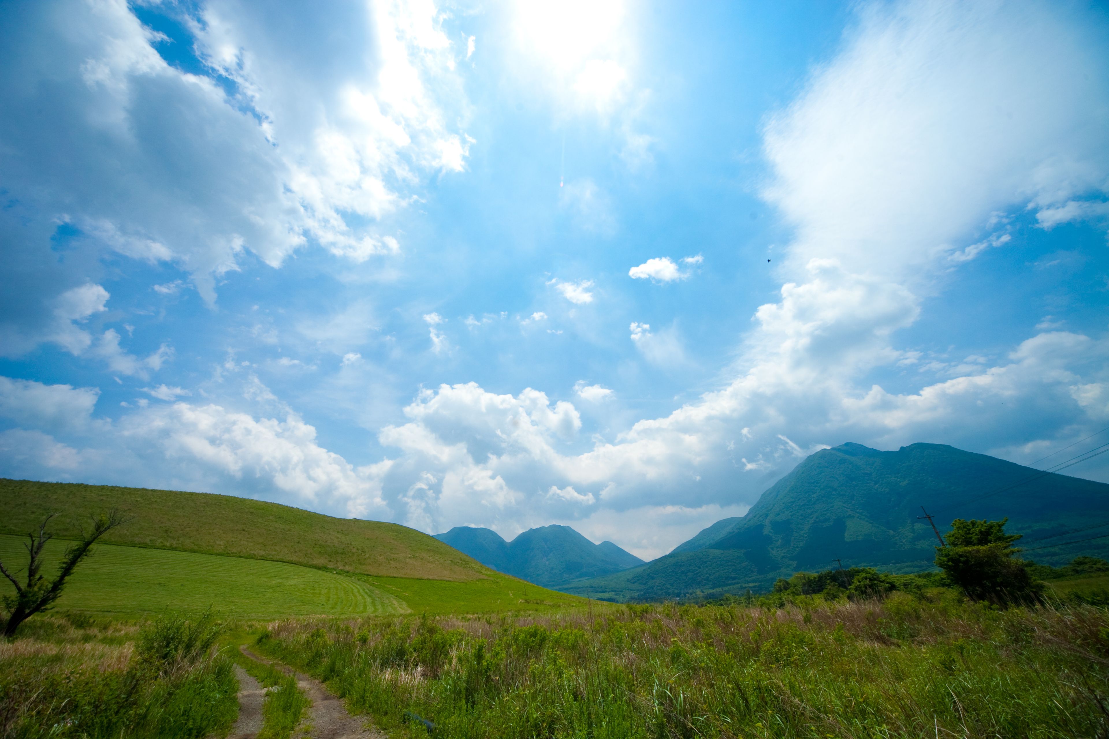 A grassy landscape with a clear sky and distant mountains.