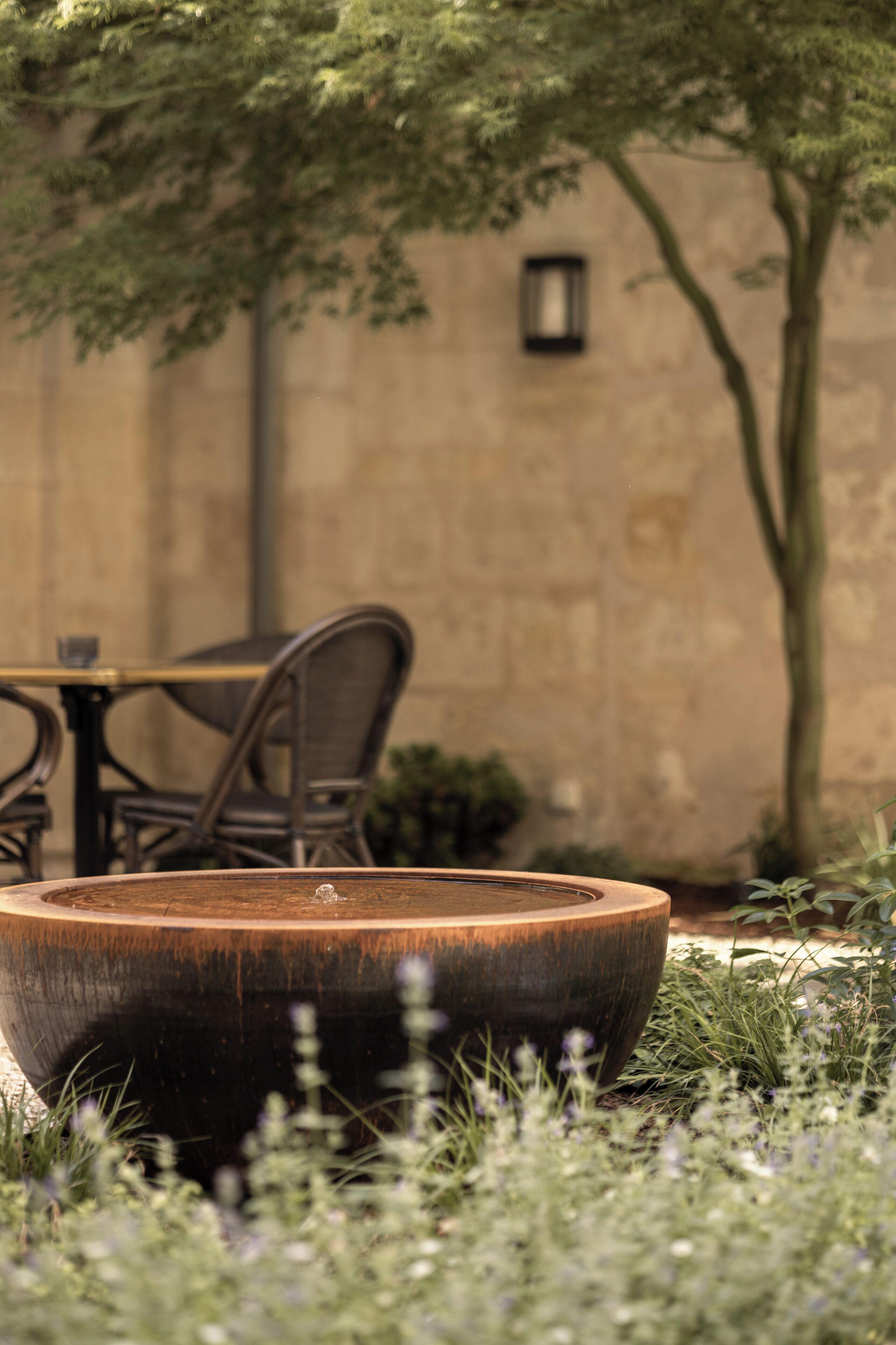 Terraza o patio