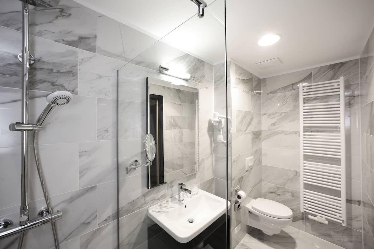 shower, free toiletries, hair dryer, slippers