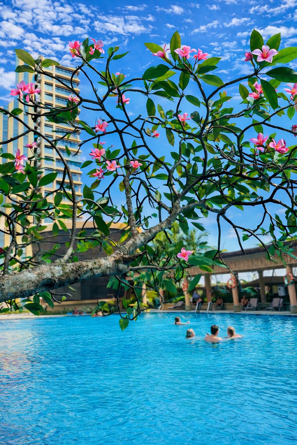 Una piscina con gente, rodeada de vegetación exuberante y un edificio al fondo.