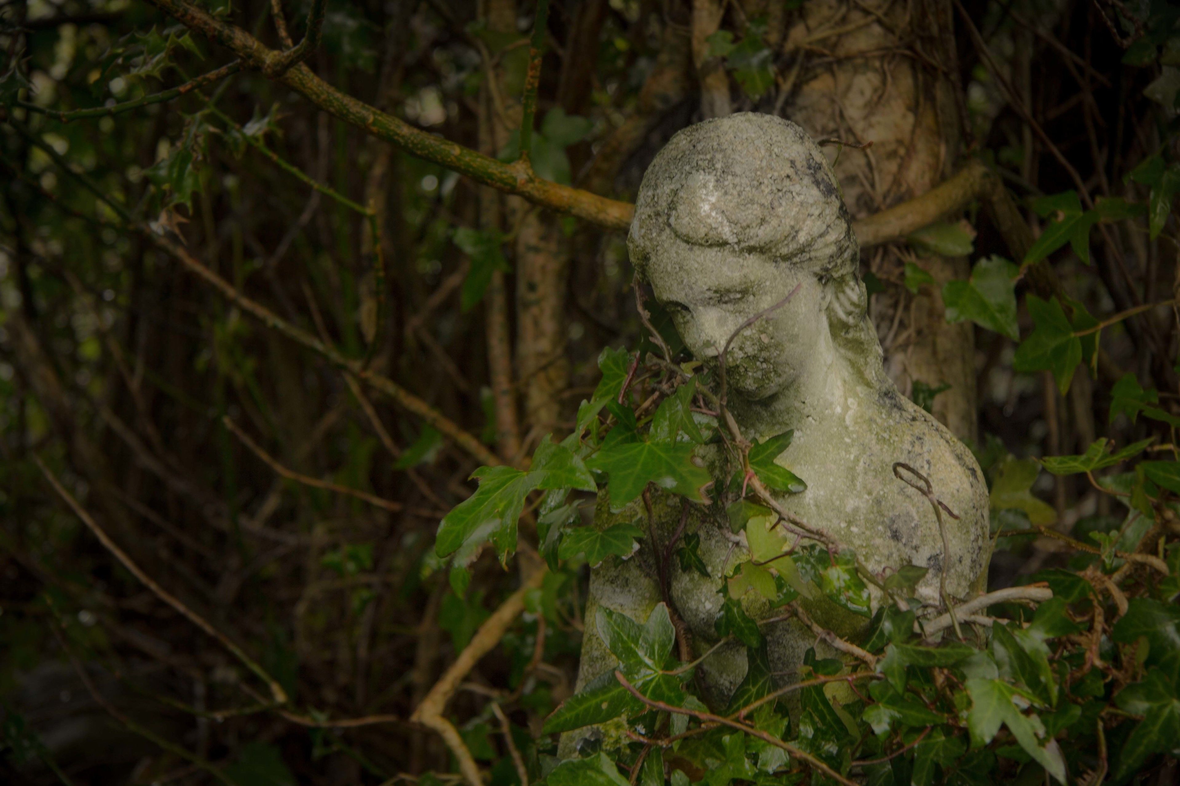 A stone statue partially obscured by foliage.