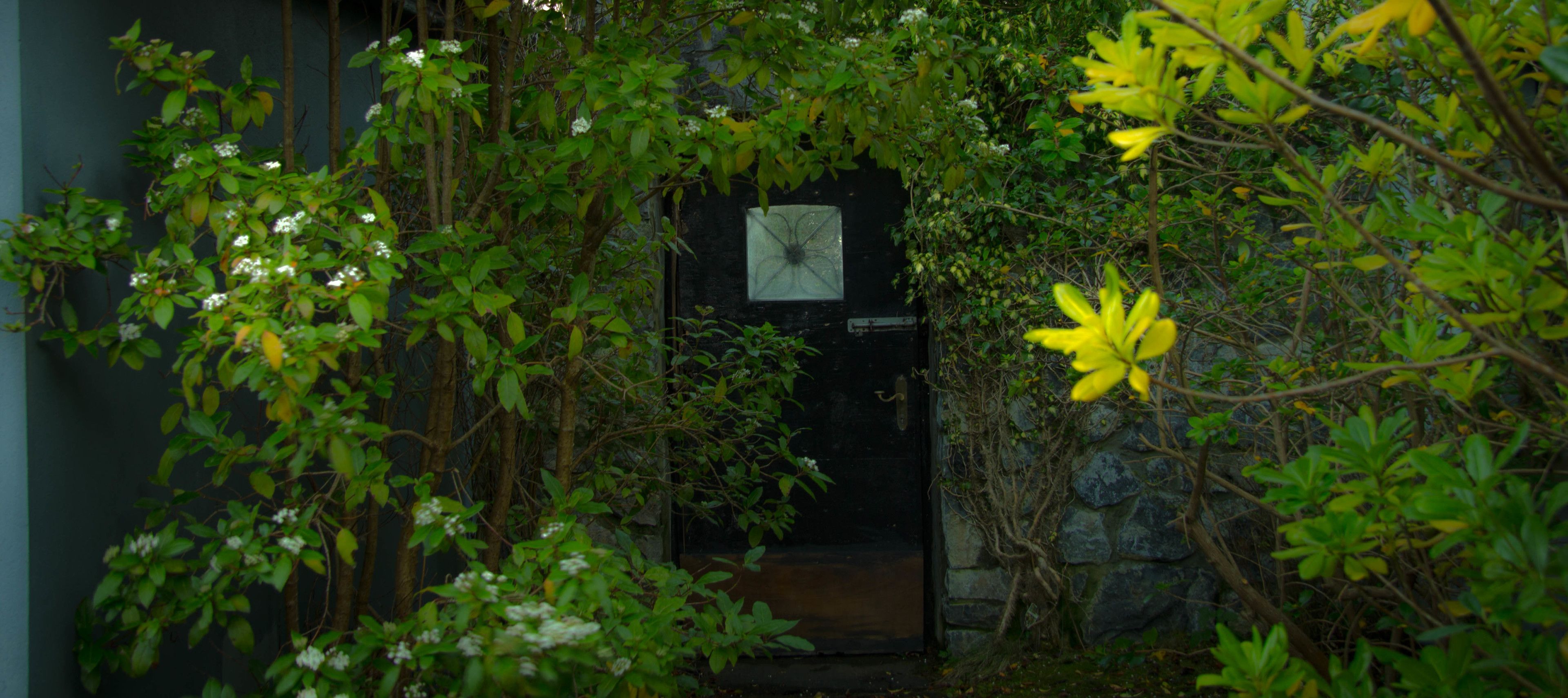 Un étroit sentier mène à une entrée sombre, bordée d’une végétation dense et de fleurs jaunes.