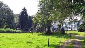 Un campo cubierto de césped con un sendero que lleva a un edificio de fachada blanca y contraventanas verdes.