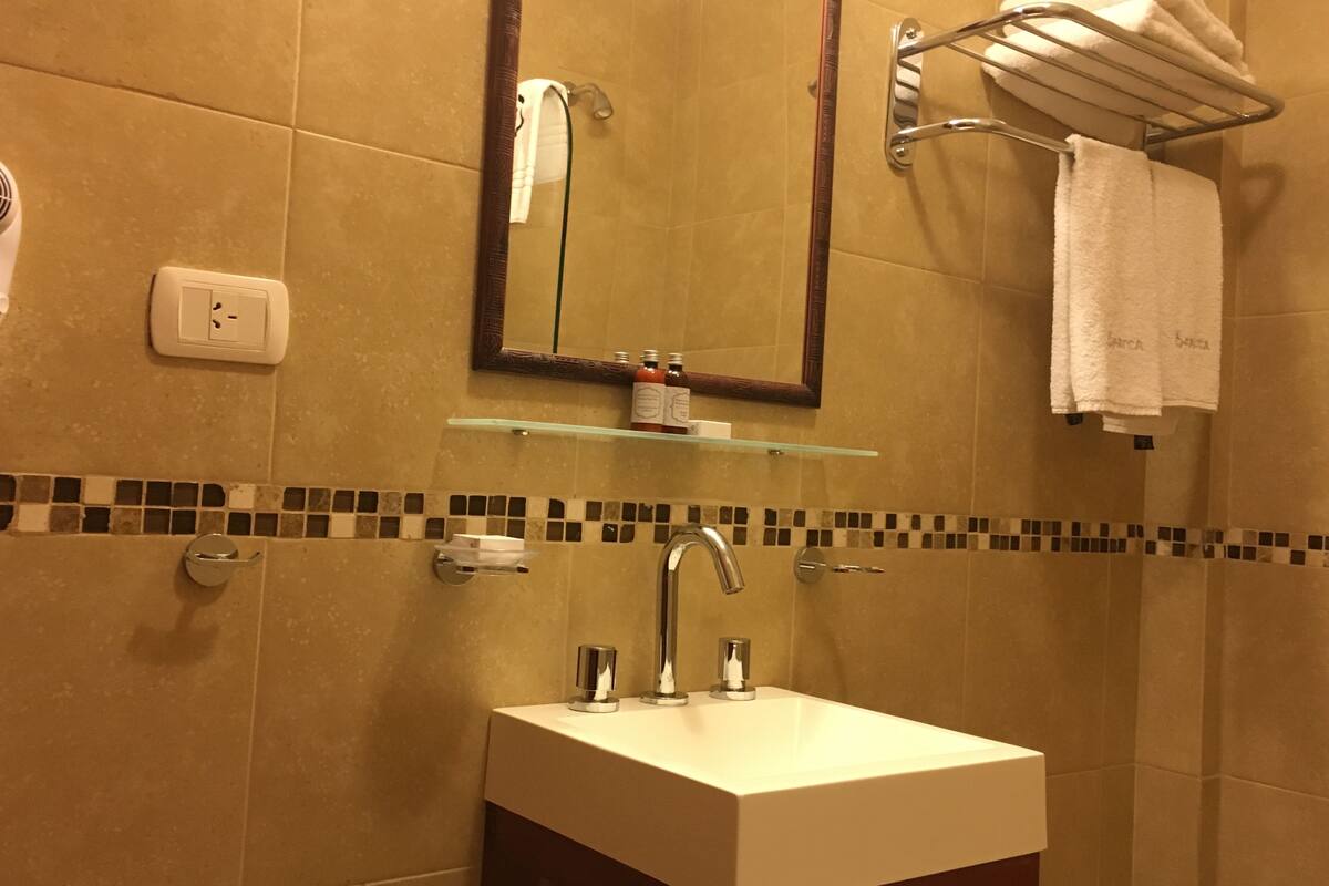 shower, free toiletries, hair dryer, towels