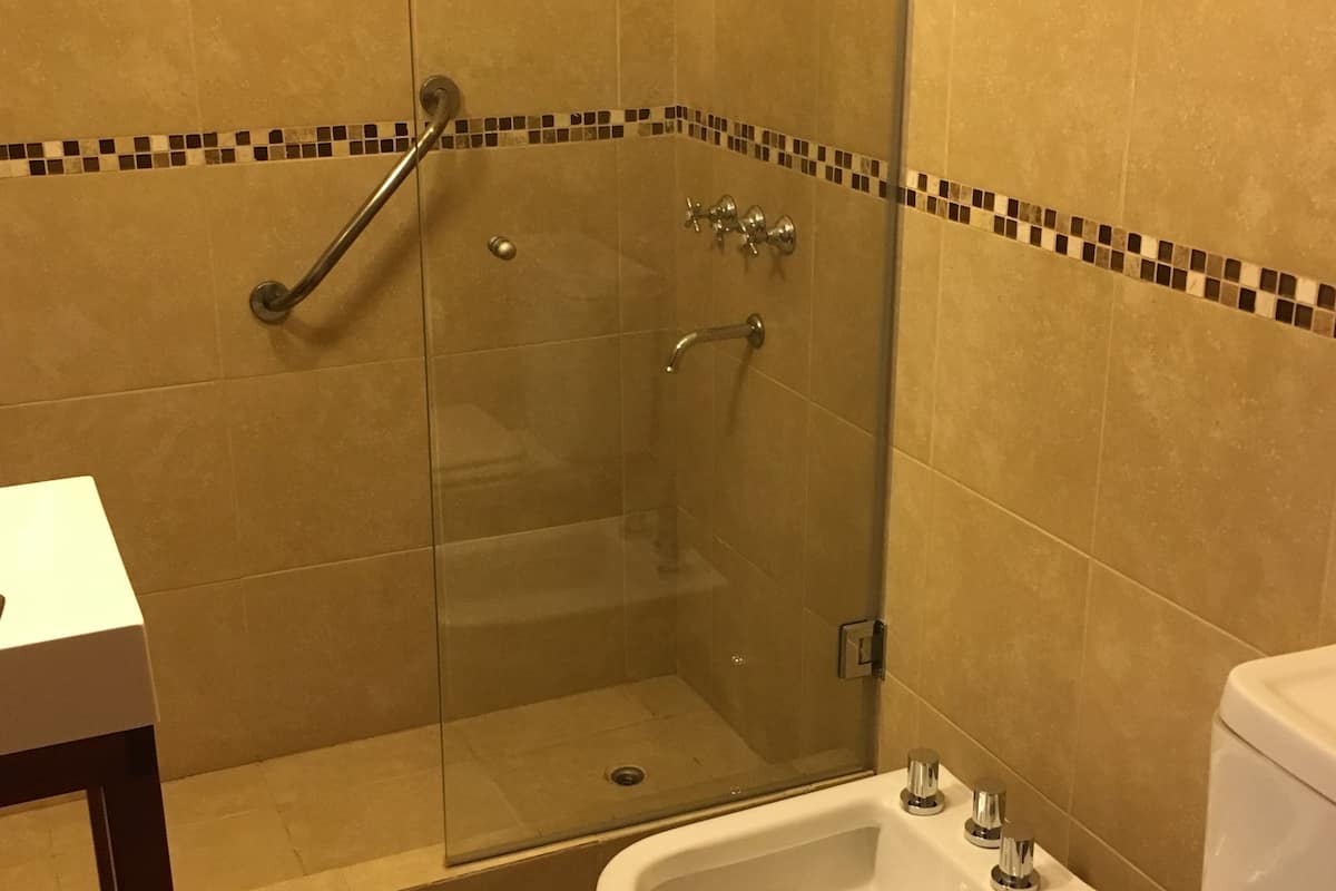 shower, free toiletries, hair dryer, towels
