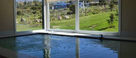 Una piscina interior con vistas a un paisaje con césped y edificios al fondo.