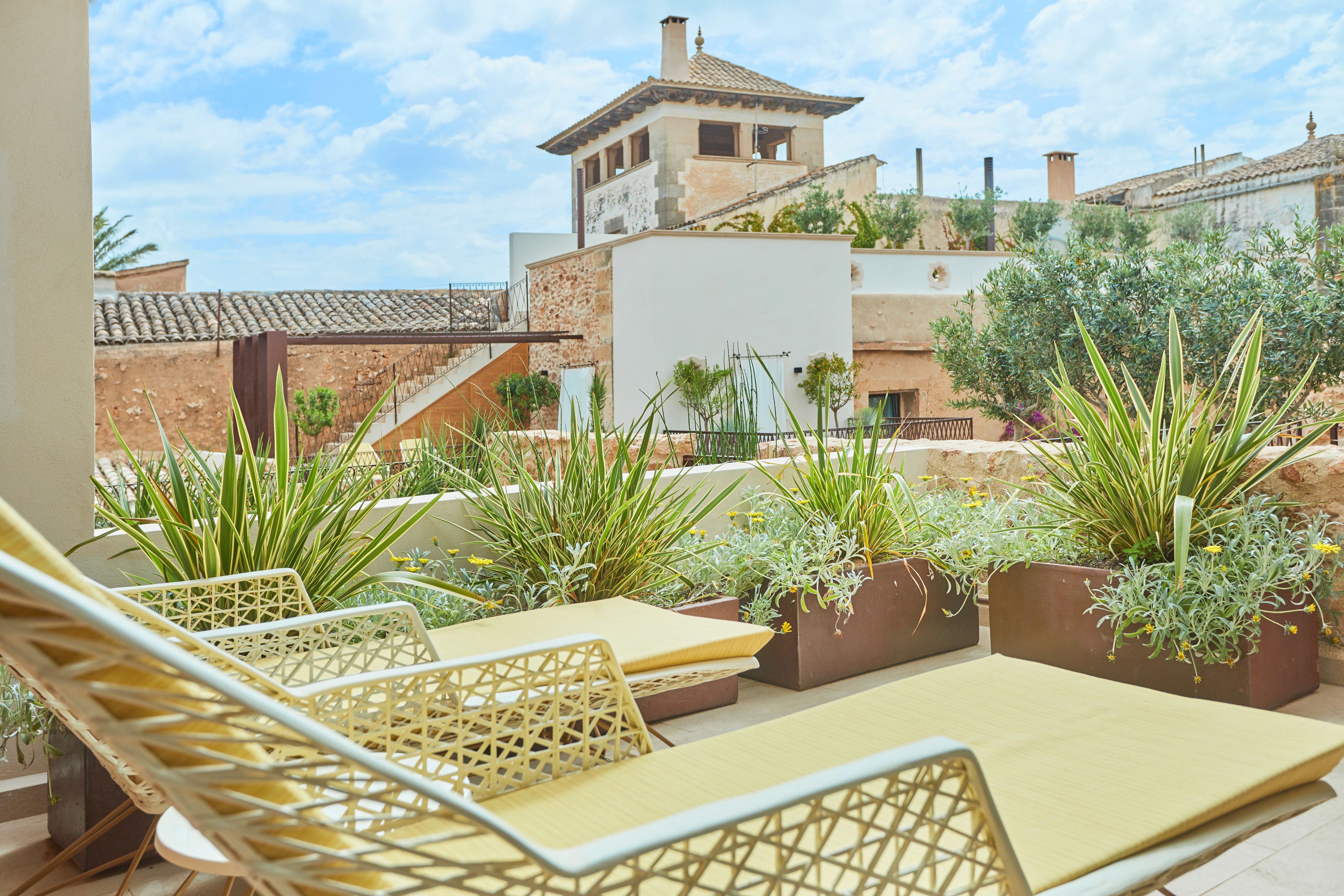 A rooftop terrace with outdoor seating and potted plants.