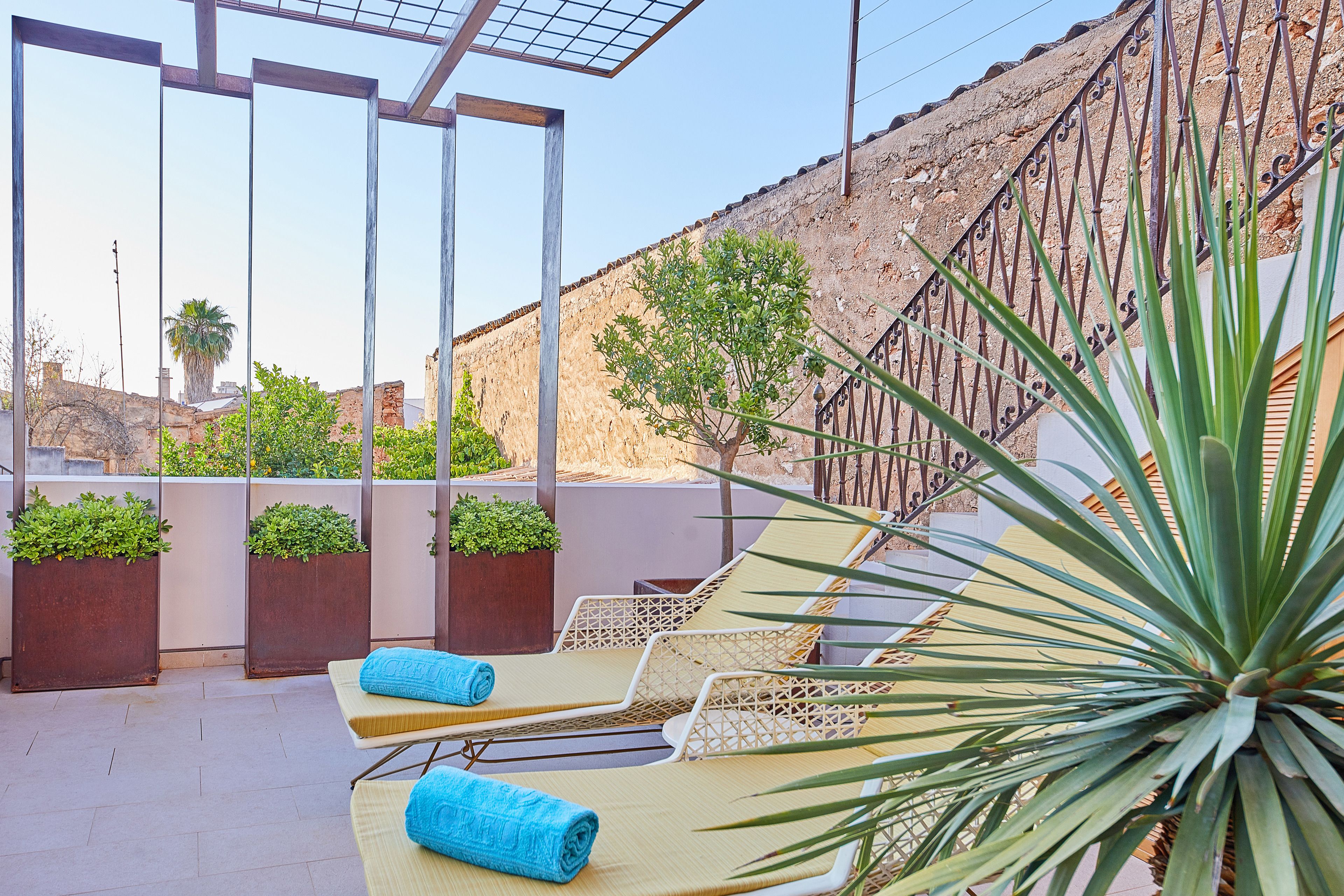 A rooftop terrace with lounge chairs, potted plants, and a view of the cityscape.
