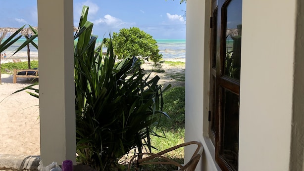 A view from a room with a window overlooking a beach, featuring a thatched roof, a wooden bench, and a potted plant. - Blue Earth Beach Bungalows (Jambiani)
