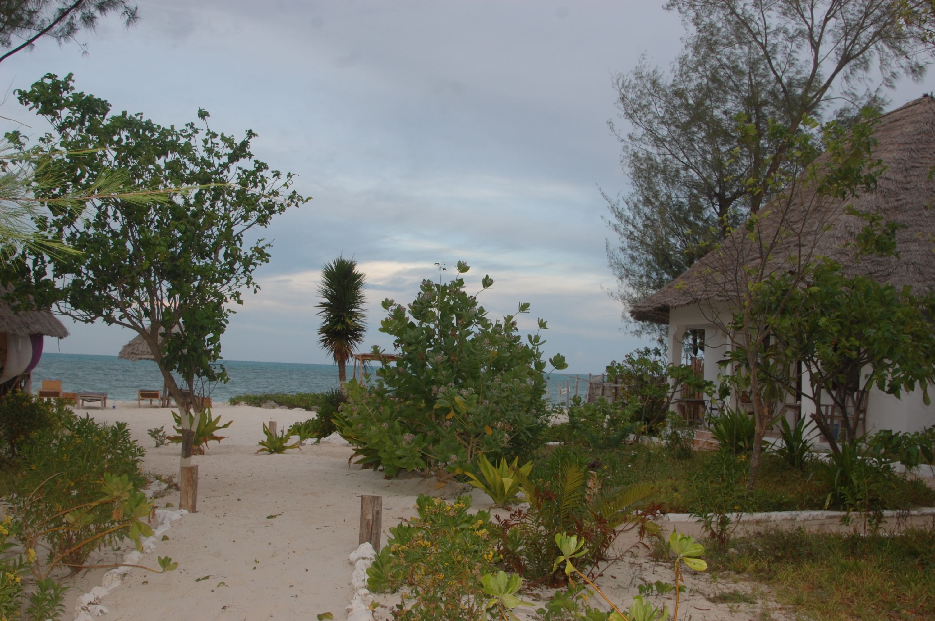 A beach with thatched-roof huts, palm trees, and a sandy path leading to the sea.