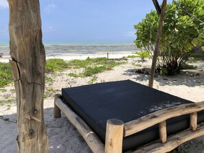 Property grounds - Blue Earth Beach Bungalows (Jambiani)
