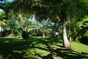 Jardín