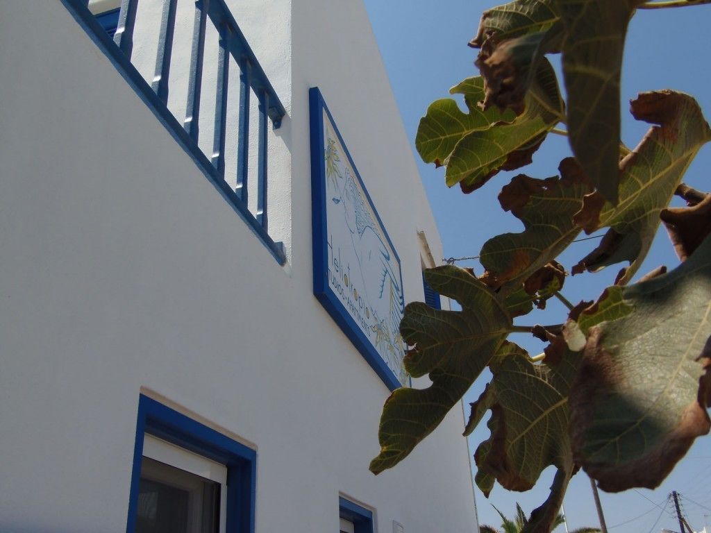 A building with a white facade and blue trim, featuring a large window and a door.