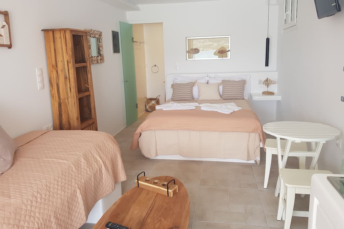 Traditionele studio | 1 slaapkamer, hypoallergeen beddengoed, een kluis op de kamer