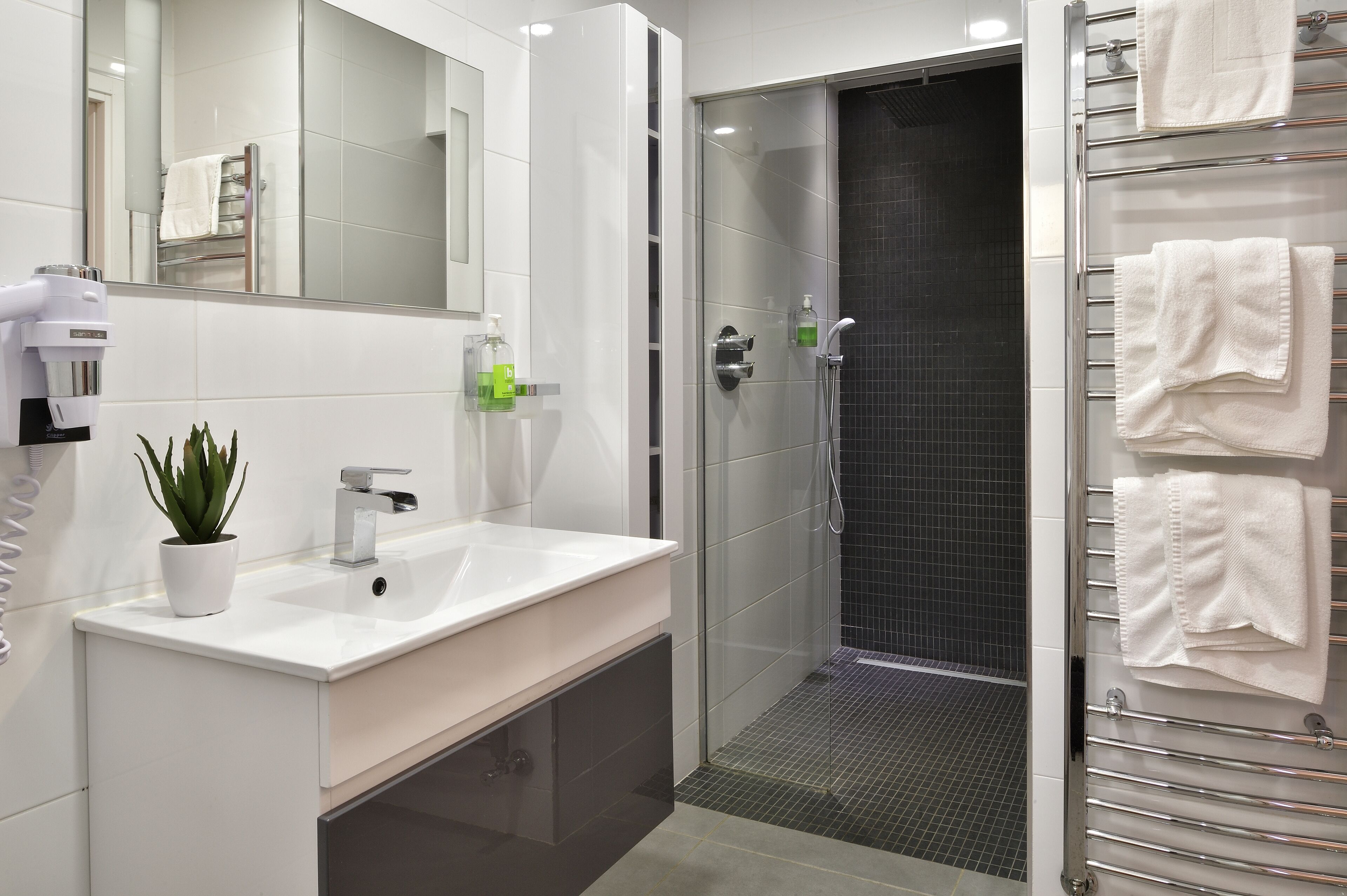 Chambre Deluxe, 1 chambre | Salle de bain | Douche, sèche-cheveux, serviettes fournies