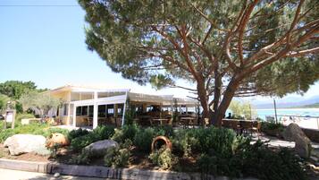 Un restaurante costero con terraza, un árbol grande y vistas al mar.