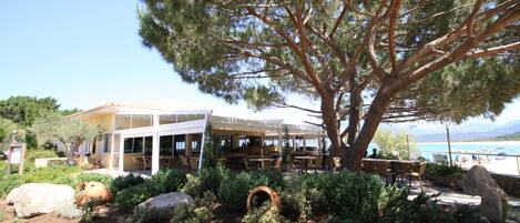 A coastal restaurant with outdoor seating, a large tree, and a view of the sea.