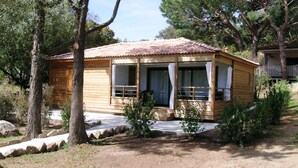 Una cabaña de madera con techo de tejas, un porche con barandilla y un pequeño jardín con rocas y arbustos.