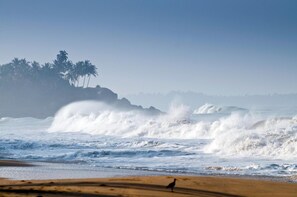 On the beach - Sri Villas (Induruwa)