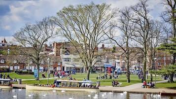 A riverside park with swans, a boat tour, and people walking.