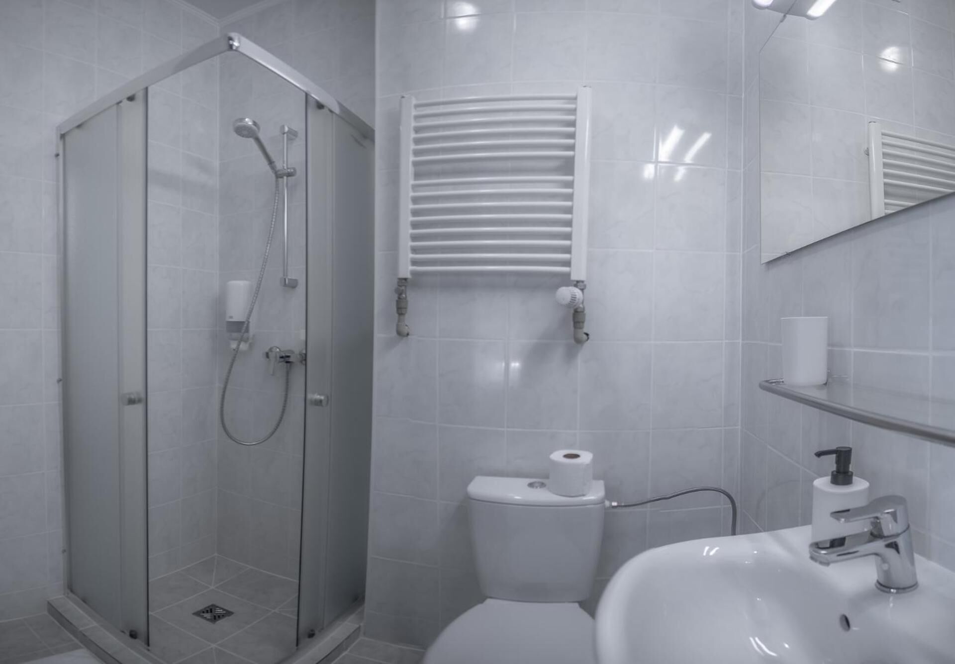 A modern bathroom with a glass-enclosed shower, a toilet with a paper towel holder, and a sink with a soap dispenser.