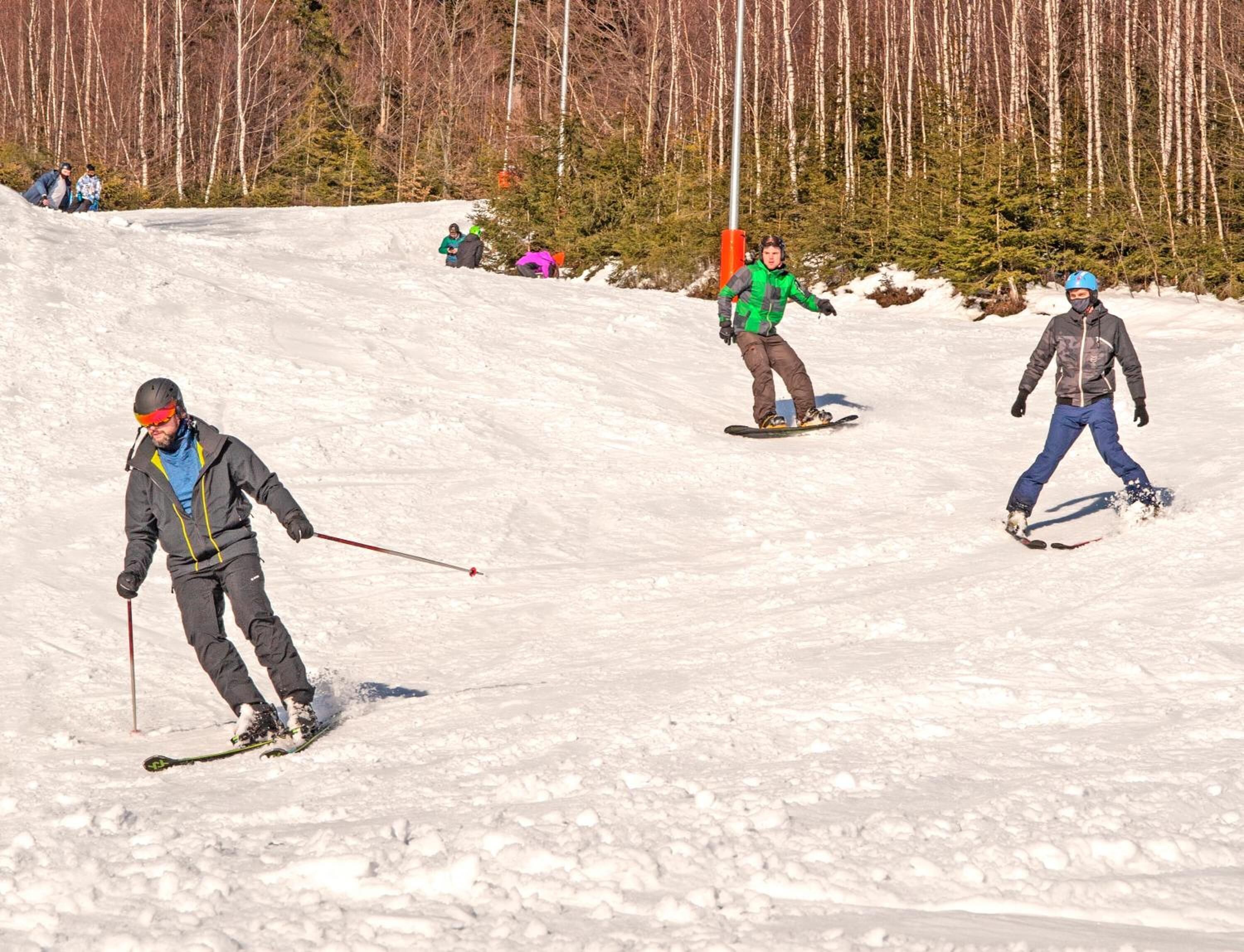 A snowy ski slope with skiers and a forest in the background.