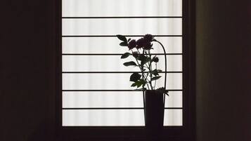 A window with horizontal blinds and a potted plant on a windowsill.