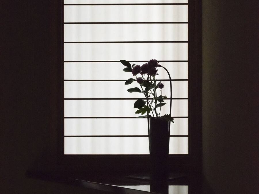 A window with horizontal blinds and a potted plant on a windowsill.