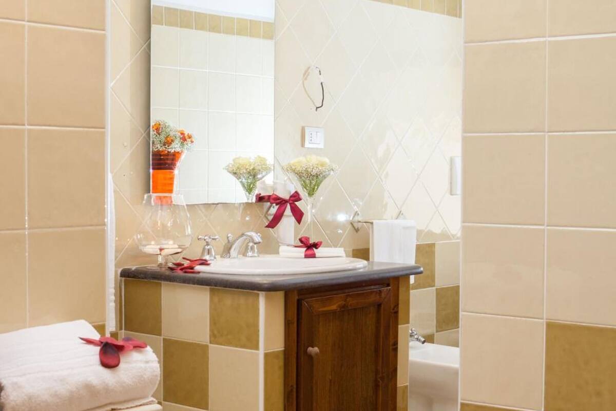 shower, free toiletries, hair dryer, bidet