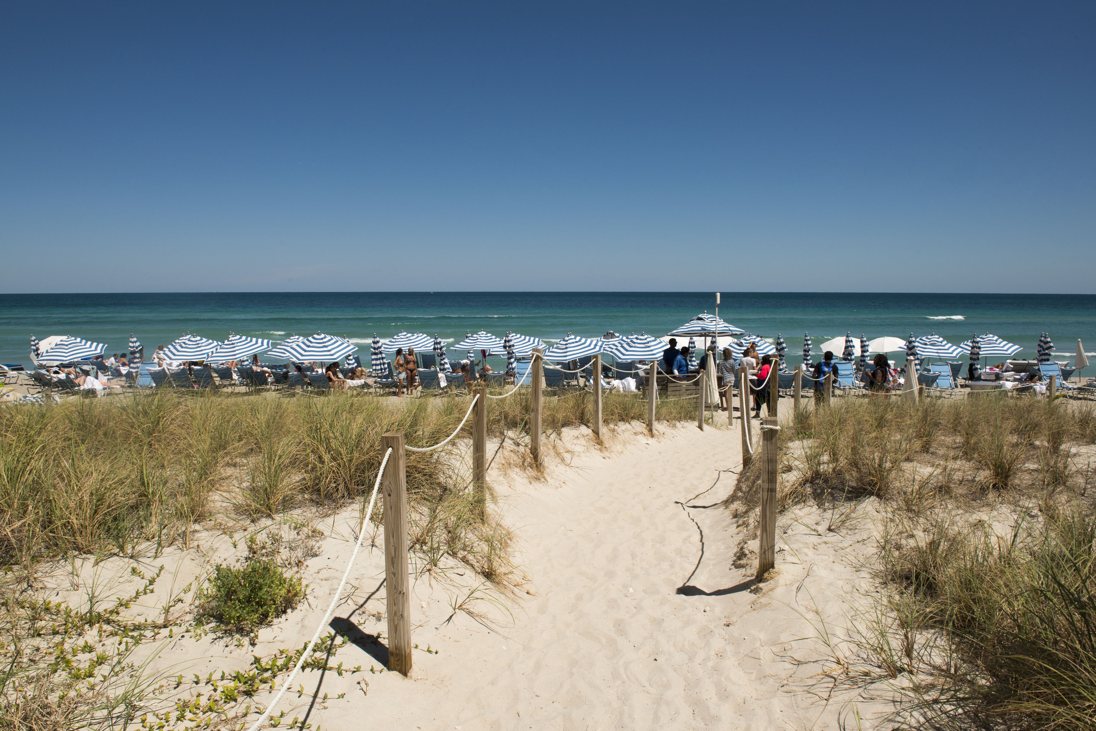 Une plage bordée de rangées de parasols et de chaises de plage à rayures, un sentier sablonneux menant à l’eau et un ciel bleu dégagé.
