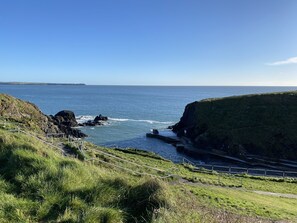 A coastal landscape with grassy cliffs and a sea view. - O'Sheas Hotel Tramore (Tramore)
