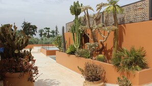 Garden - Riad La Source Du Désert (Marrakech)