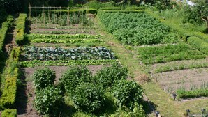 A well-maintained garden with various vegetable plots and neatly trimmed hedges. - Cormiston Farm (Biggar)