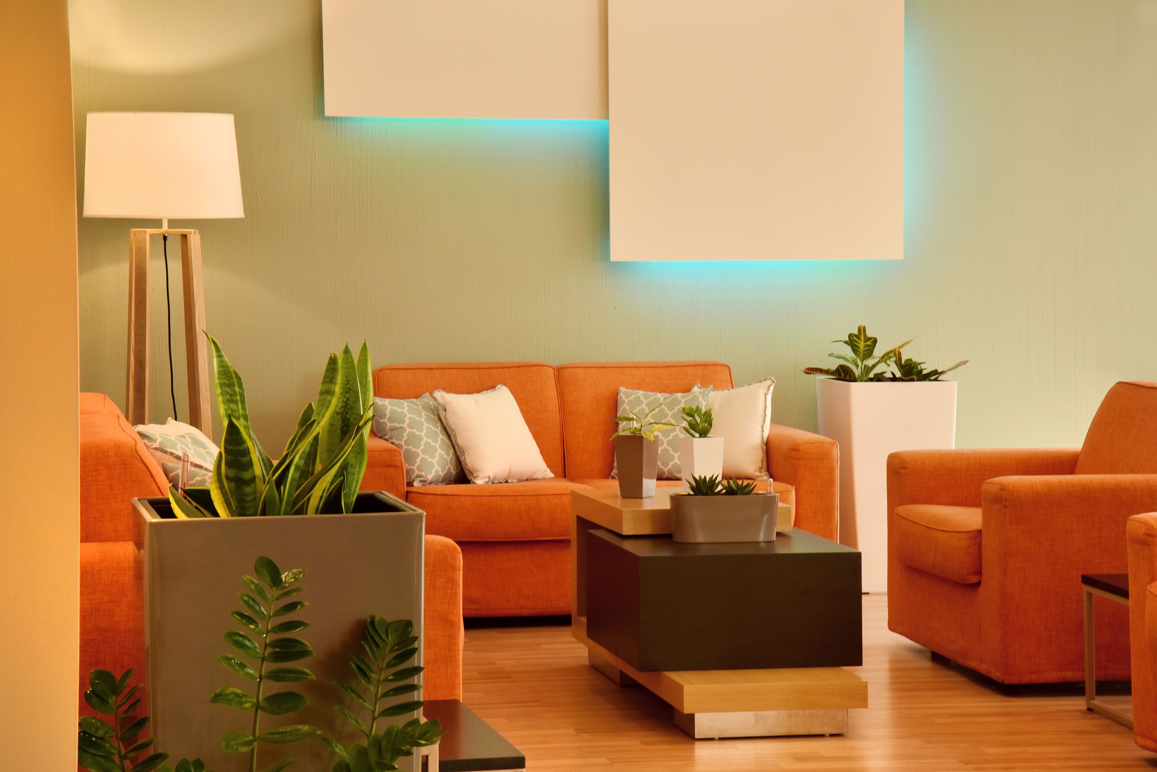 Una sala de estar moderna con un sofá naranja, una mesa de centro y plantas en macetas.