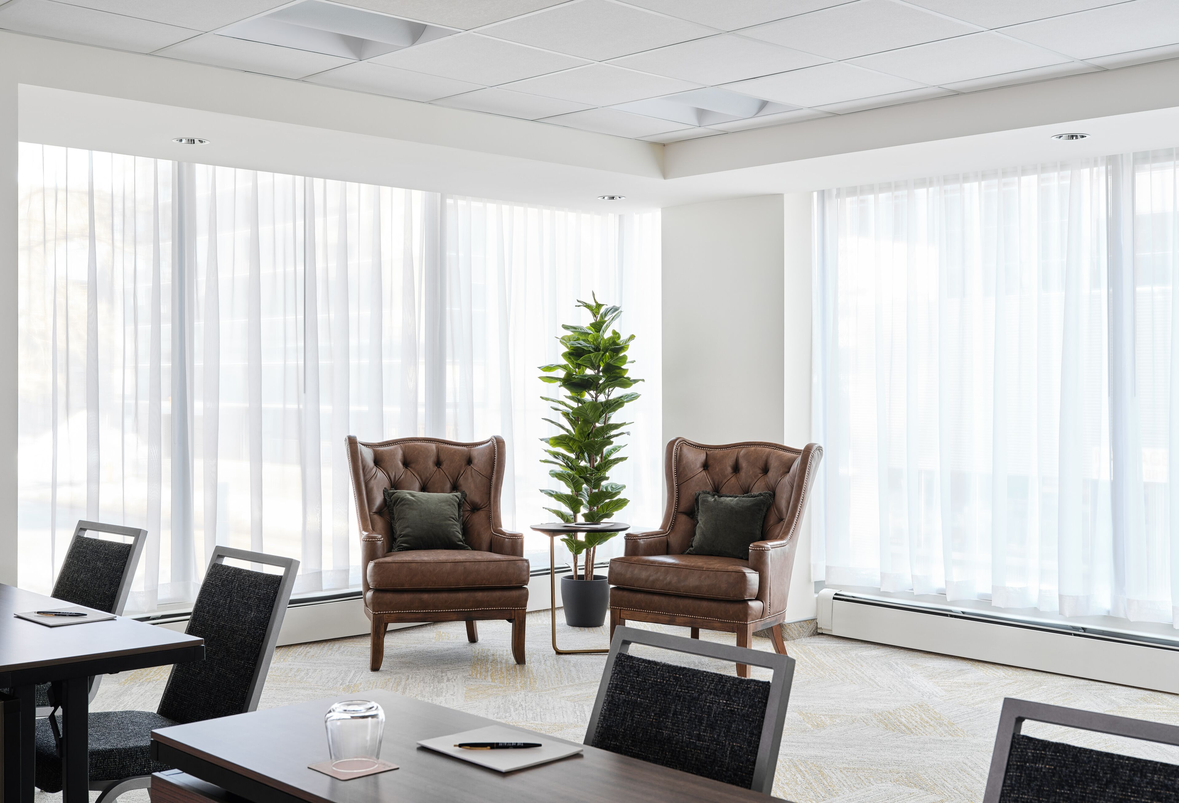 A conference room with two leather chairs, a table, a potted plant, and large windows with sheer curtains.